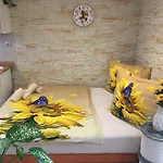Slunecnice S Terasou * تشيسكي بوديوفيتسه