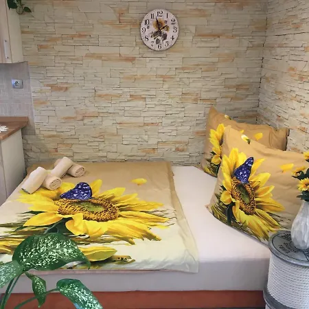 Slunecnice S Terasou * تشيسكي بوديوفيتسه