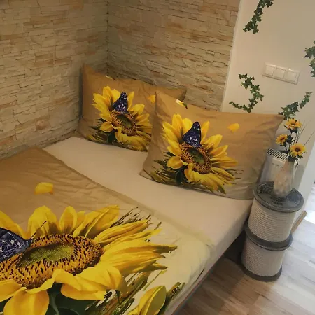 Slunecnice S Terasou * تشيسكي بوديوفيتسه